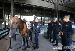 九游会-包含马赛训练开放日Ming与60激战西班牙队分钟，连对手都承认：集结日西汉姆备战亚冠的词条